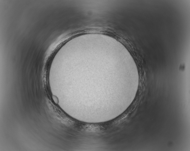 X0000114630343200912011030