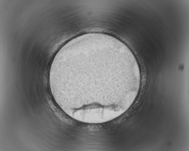 X0000114630345200912011030