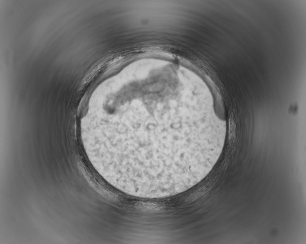 X0000114630349200912011030