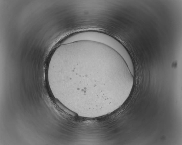 X0000114630350200912011030