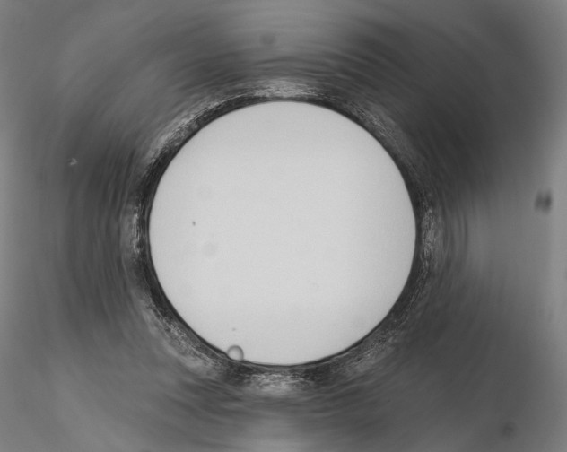 X0000114630351200912011030