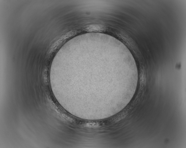 X0000114630353200912011030