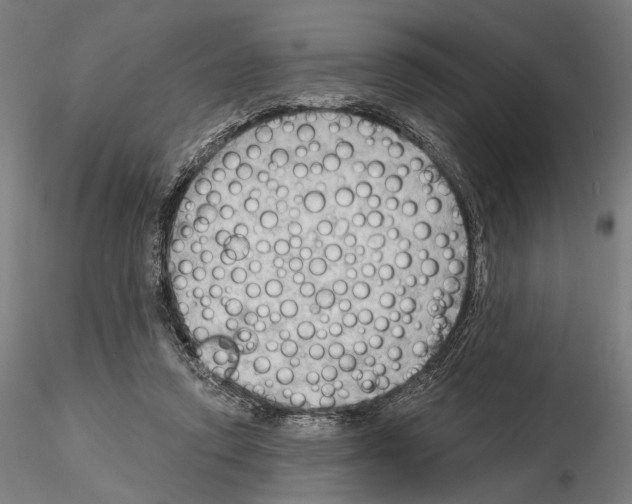 X0000114630354200912011030