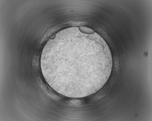 X0000114630357200912011030