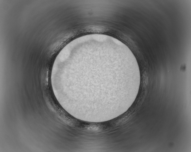 X0000114630358200912011030