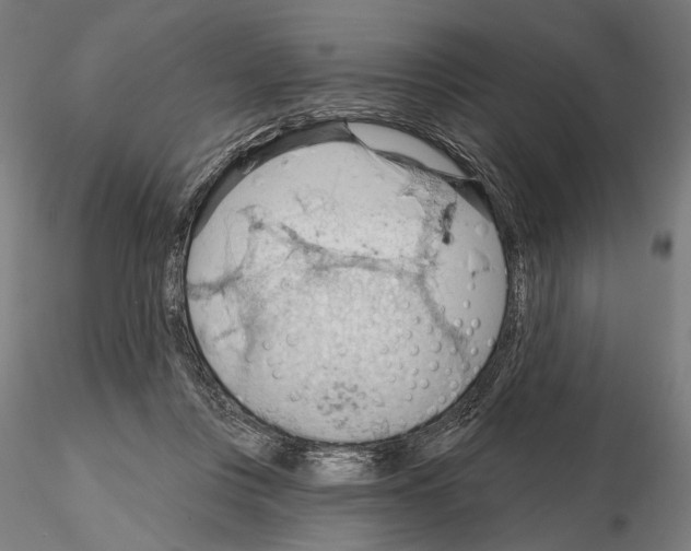 X0000114630359200912011030