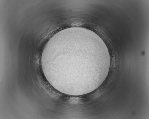 X0000114630363200912011030