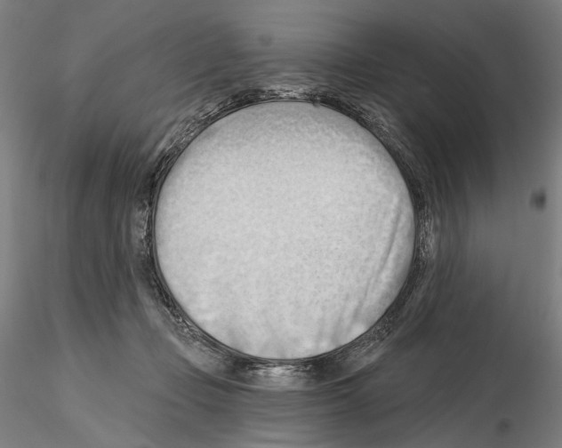 X0000114630365200912011030