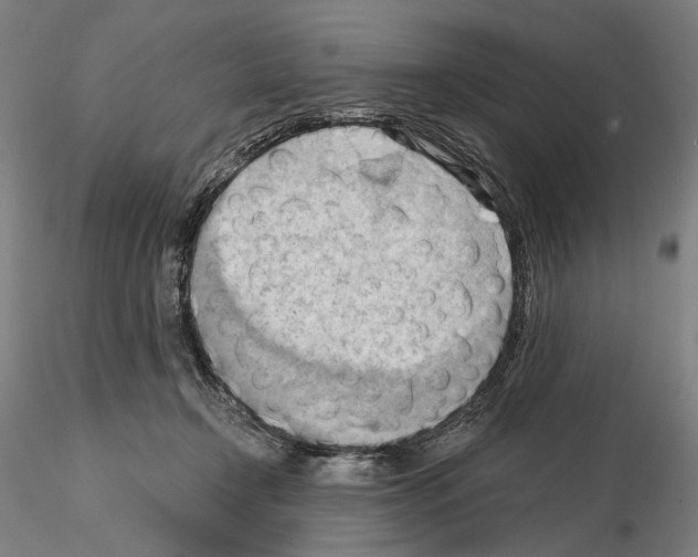 X0000114630366200912011030