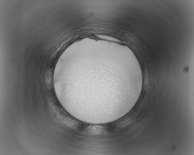 X0000114630367200912011030