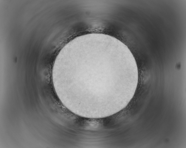 X0000114630370200912011030