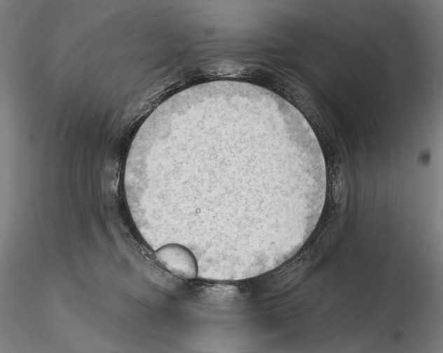 X0000114630374200912011030