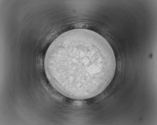 X0000114630375200912011030