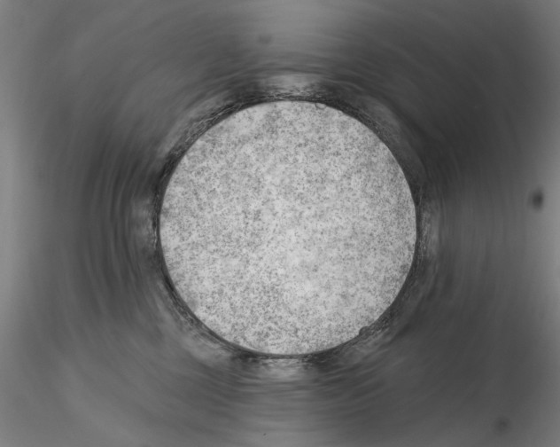 X0000114630377200912011030