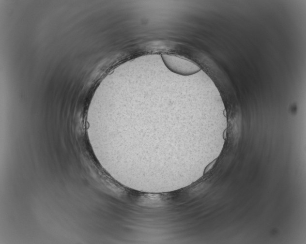 X0000114630381200912011030