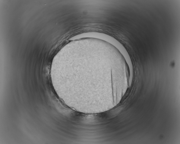 X0000114630382200912011030