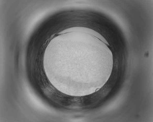 X0000114630383200912011031