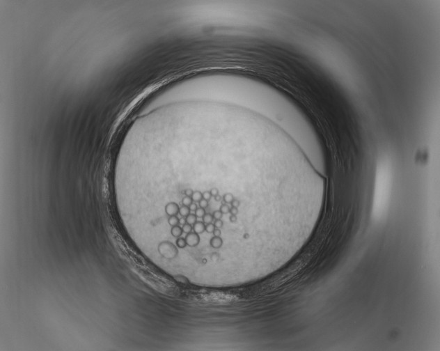 X0000114630387200912011030