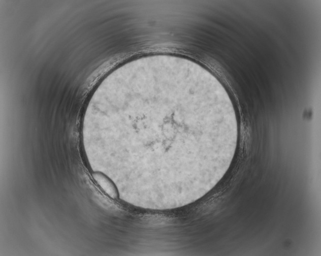 X0000114630389200912011030