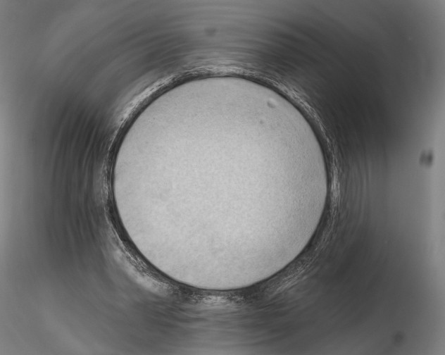 X0000114630390200912011030