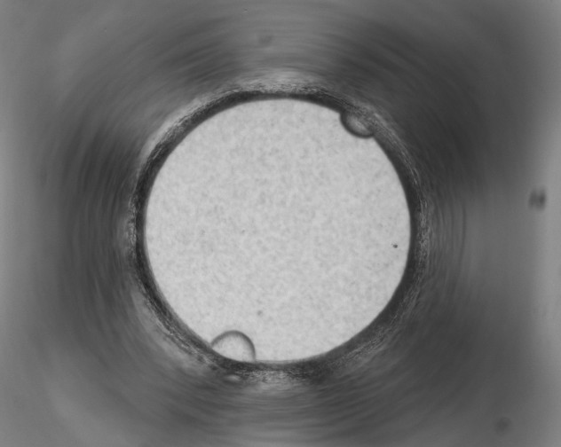 X0000114630392200912011030