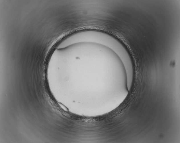 X0000114630395200912011030