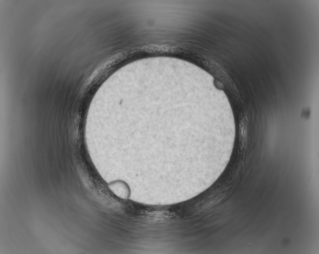 X0000114630396200912011030