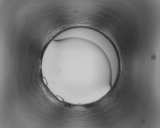 X0000114630397200912011030