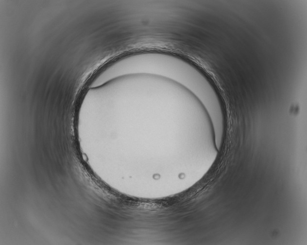 X0000114630399200912011029