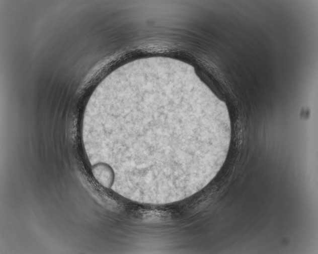 X0000114630400200912011029