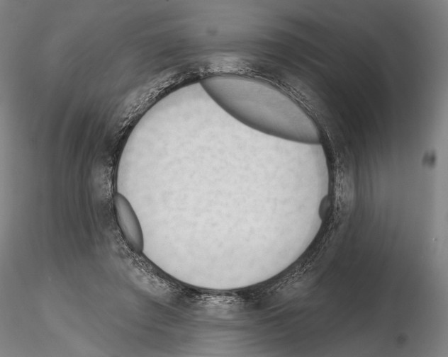 X0000114630401200912011029