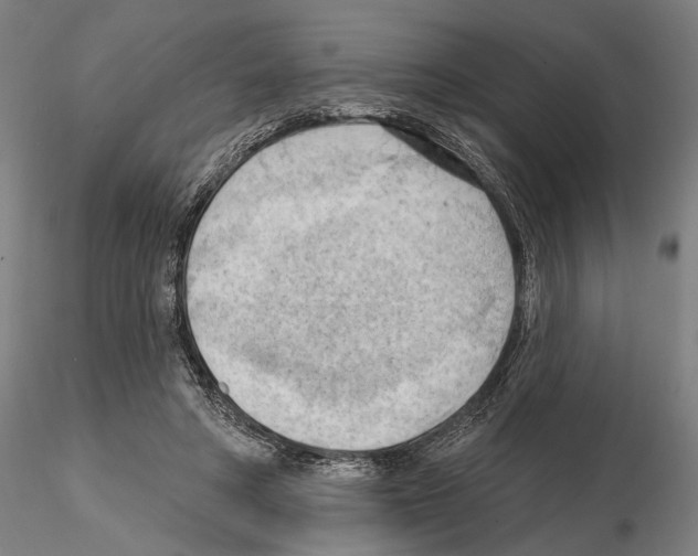 X0000114630402200912011029