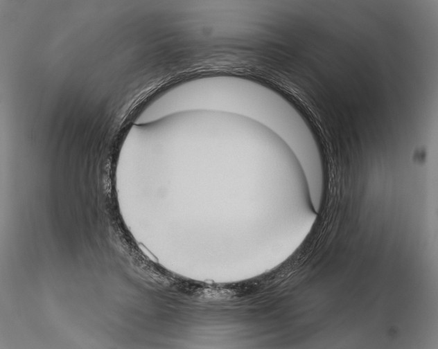 X0000114630403200912011029