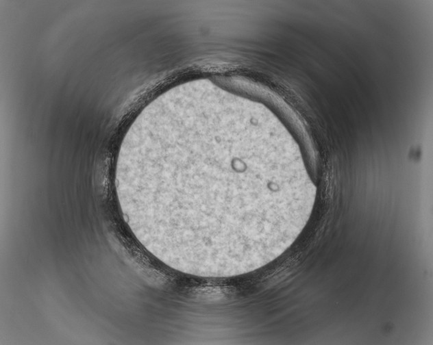 X0000114630404200912011029