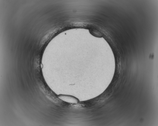 X0000114630407200912011029