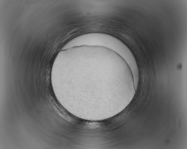 X0000114630409200912011029