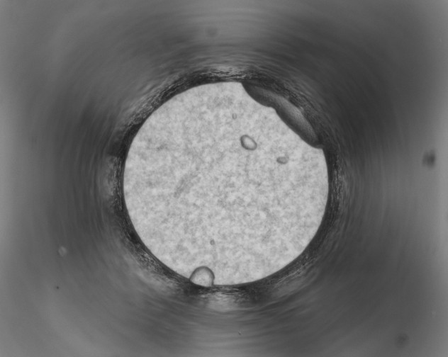 X0000114630412200912011029