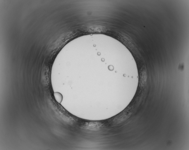 X0000114630414200912011029