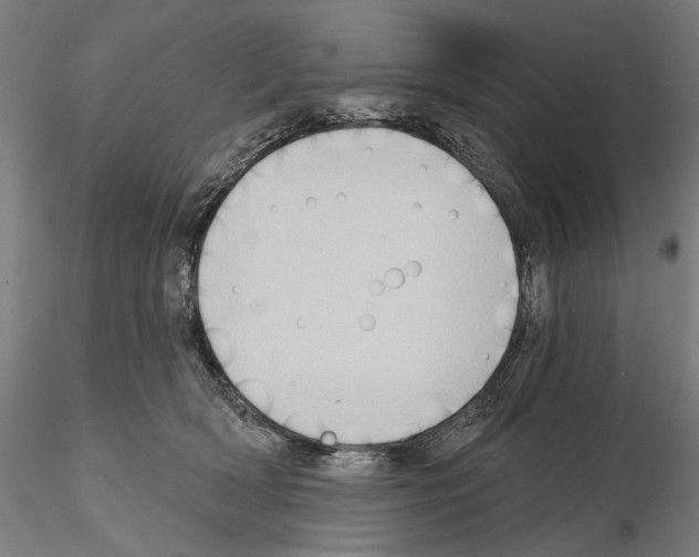 X0000114630418200912011029