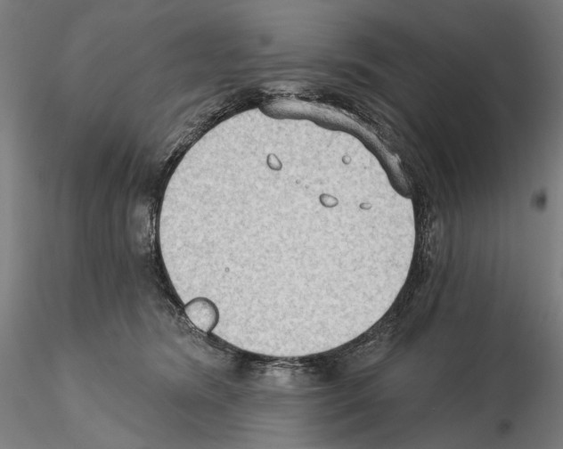 X0000114630420200912011029