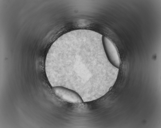 X0000114630421200912011029