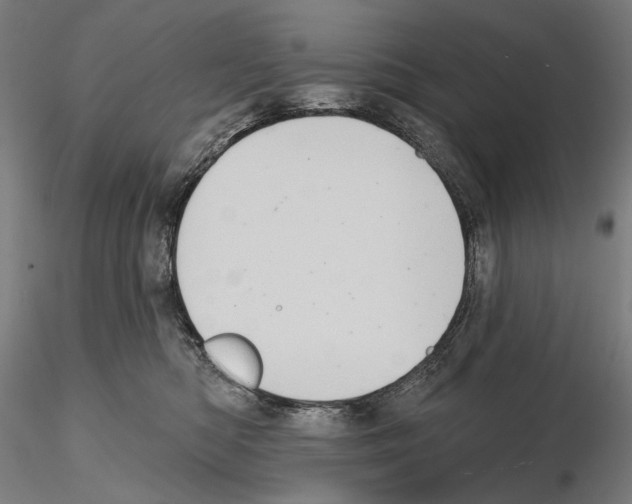 X0000114630422200912011029