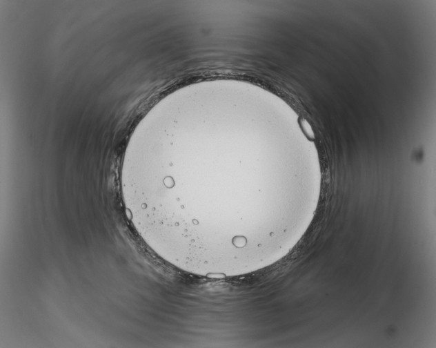 X0000114630423200912011029