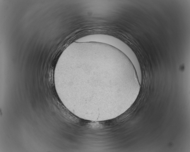 X0000114630425200912011029