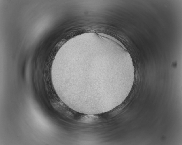 X0000114630429200912011029