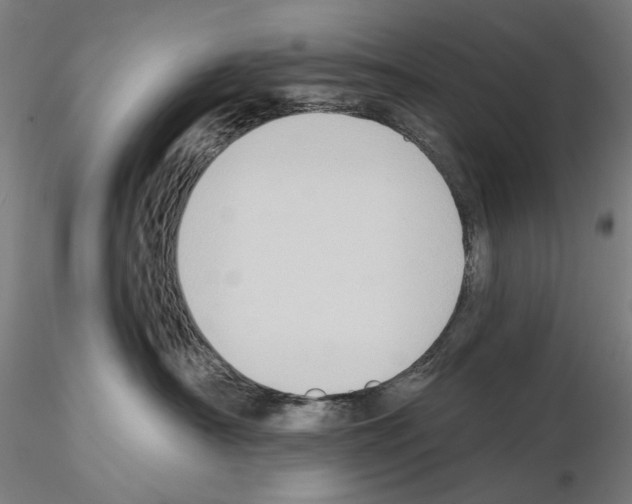 X0000114630430200912011029