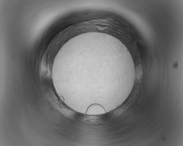 X0000114630431200912011029