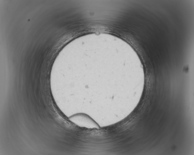 X0000114630433200912011028