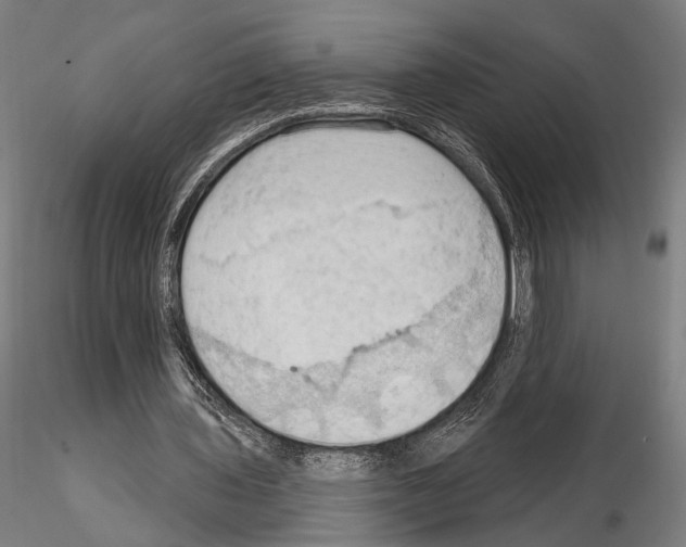 X0000114630435200912011028