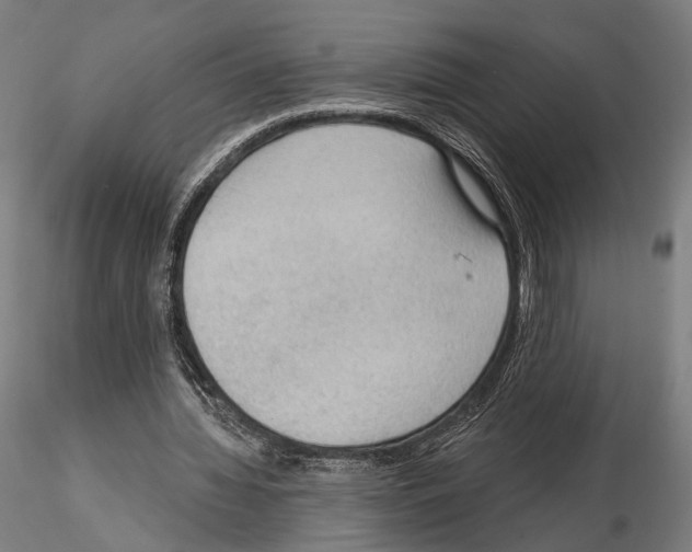 X0000114630436200912011028